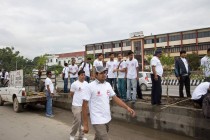 Tree Plantation