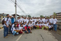 Tree Plantation